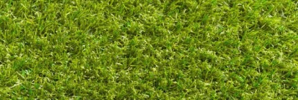 Kunstgras Green Meadow  (+/- 3 cm dikte)