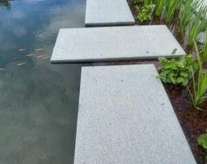 toonpark-15 toonpark-15