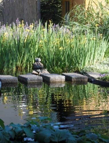 83ea8fd212585fe876ff18fcaf30afea