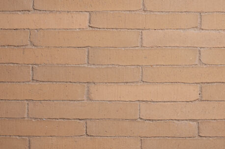 elegantia-vanille NGLF Elegantia Vanille 240x36x72mm 109st/m²