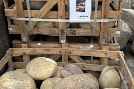Zwerfkeien Dinasour eggs