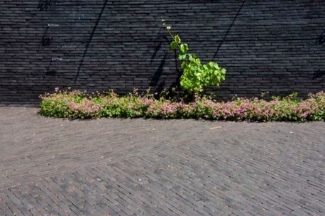 septima-eboniet-zandhoven-5 NGWF Eboniet SeptimA 215x52x70mm getrommeld 85st/m²