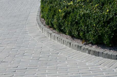 septima-olijf-hoorebeke-14 NGWF Olijf SeptimA 218x52x72mm getrommeld 85st/m²
