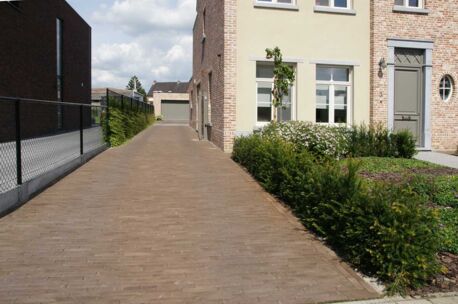NGWF Sepia SeptimA 215x52x70mm ongetrommeld  85st/m&sup2;