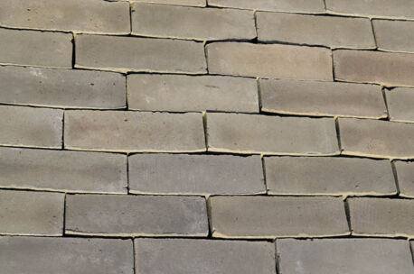 NGDF Salvia Septim 215x70x70mm ongetrommeld  64st/m²