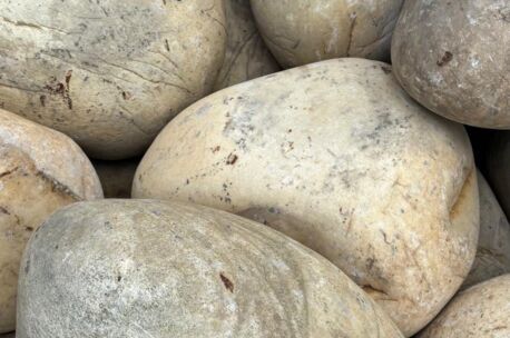 Dinosaur sierkeien Zwerfkeien Dinosour eggs