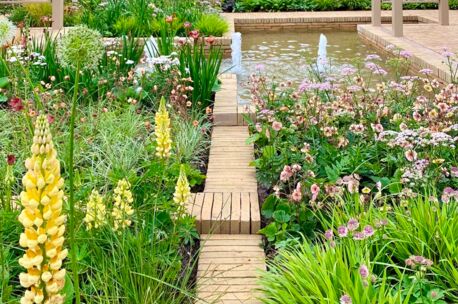 elegantia-vanille-stitchers-garden-cfs-2022-uk-4 NGLF Elegantia Vanille 240x36x72mm 109st/m²