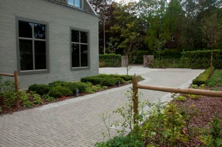 septima-olijf-oudenaarde-1 NGWF Olijf SeptimA 218x52x72mm getrommeld 85st/m²
