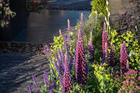 septima-eboniet-urban-flow-uk-1 NGWF Eboniet SeptimA 215x52x70mm getrommeld 85st/m²