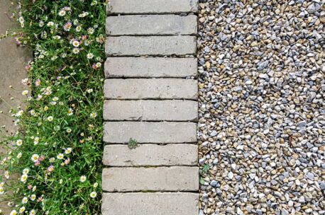 septima-olijf-tangley-uk-8 NGWF Olijf SeptimA 218x52x72mm getrommeld 85st/m²