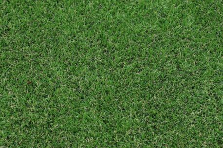 FE302Feelds kunstgras FE302 (+/- 4.0 cm dikte) 1-2-3-4-5 m breed