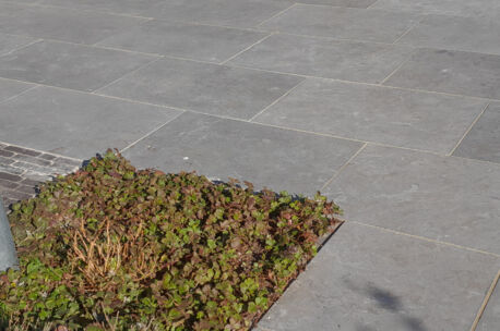 Antique look Geschuurd 50x50x3  (H51)  4st/m&sup2;