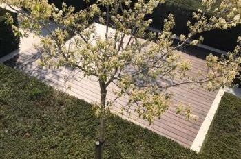 PHOTO-2020-04-11-11-39-59_1 Terras bamboe glad, bol 21x155 incl onderbalk aluminium