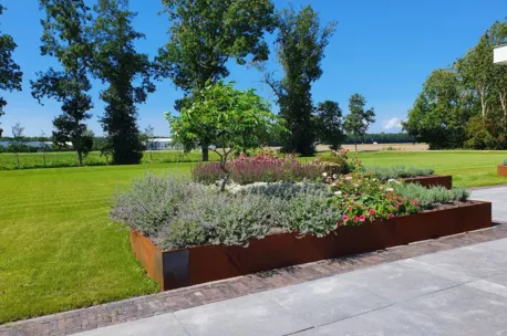 CorTen staal flexline 216x40x0.34cm incl 5 nagels excl paaltjes